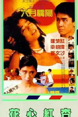 国产有码在线观看
