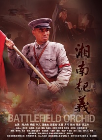 91最新91精品91蝌蚪